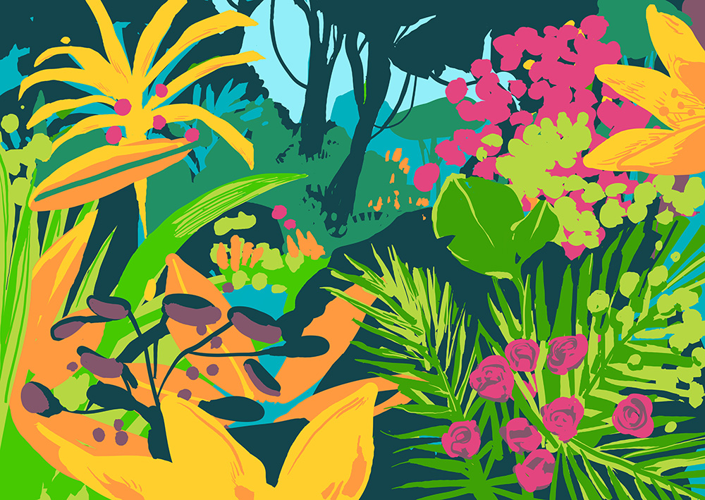 Illustration pour Nature et Découvertes